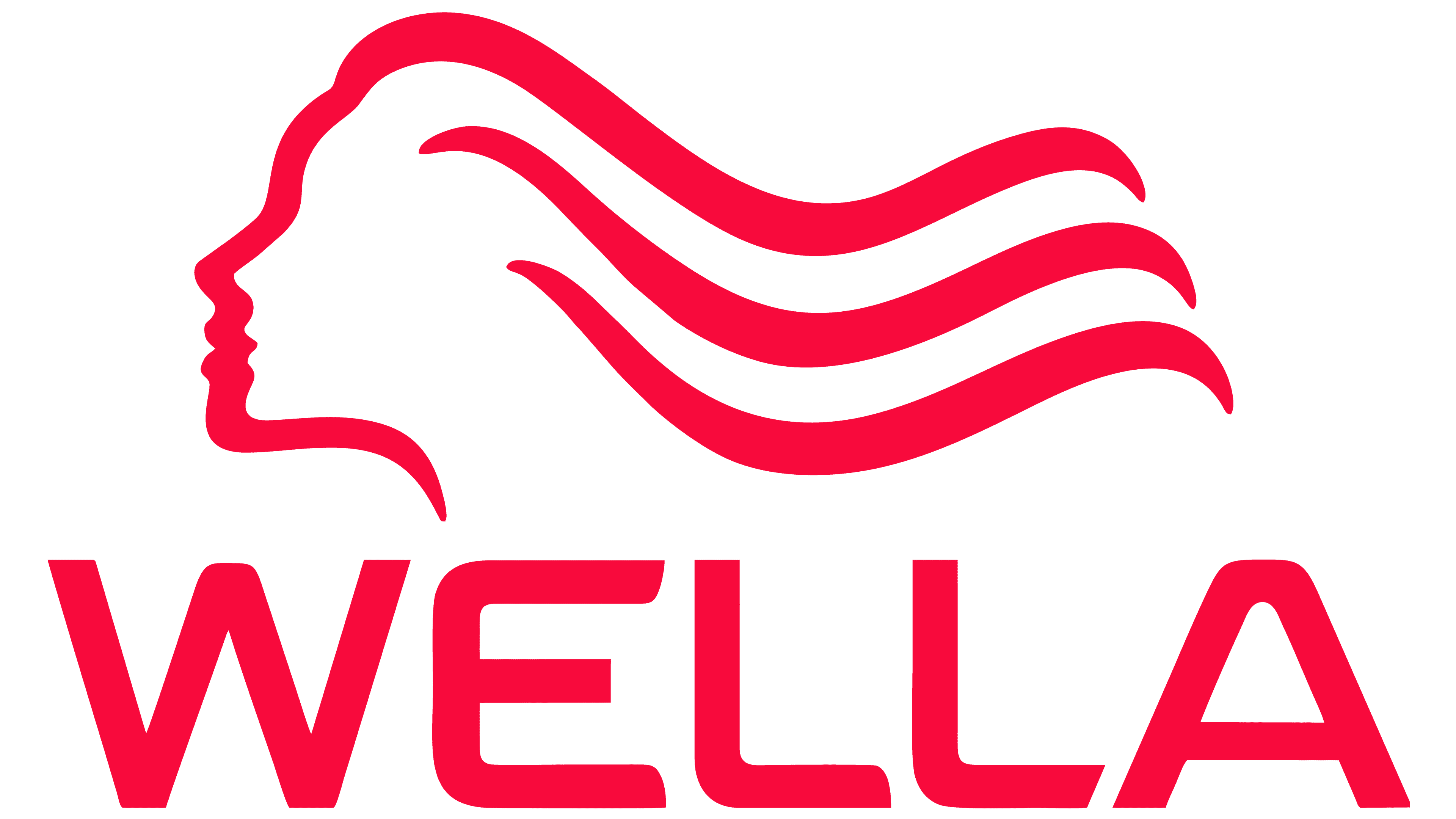 Wella Company